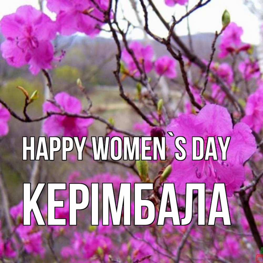 Greetings card с именем, КЕРІМБАЛА happy women`s day международный женский день Greetings with text for free download 